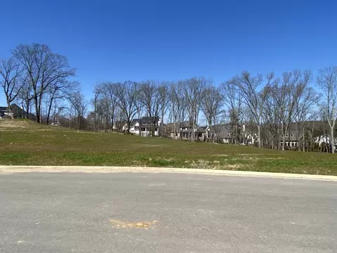 9256 Joiner Creek Rd, College Grove, TN 37046