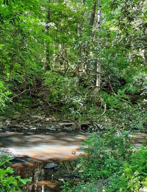0 Cullen Savage Rd, Palmer, TN 37365