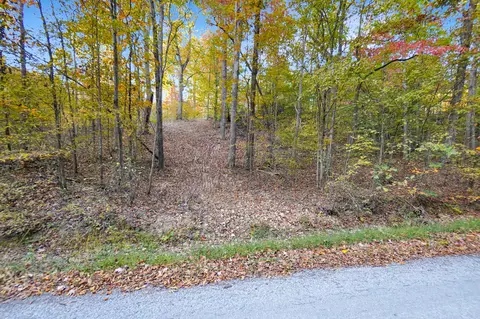 3 Cox Hollow Rd, Dover, TN 37058