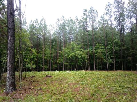 0 Hickory Nut Trl, Spencer, TN 38585