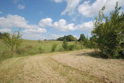 5956 Valley Rd, Springfield, TN 37172 photo 7