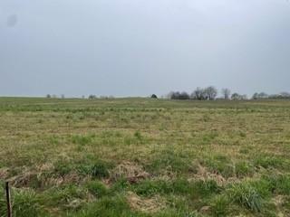 5547 Borthick Rd, Springfield, TN 37172 photo 3