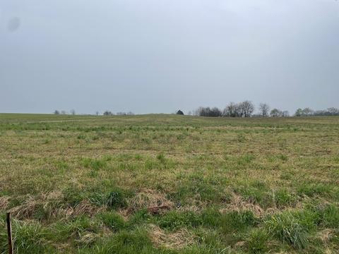 5547 Borthick Rd, Springfield, TN 37172
