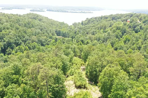 595 Old Skyline Dr, Waverly, TN 37185