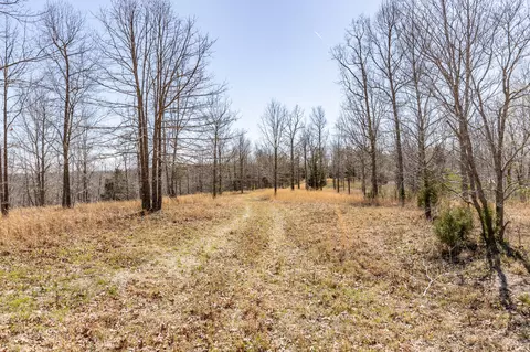 0 9 Mile Ridge Rd, Duck River, TN 38454