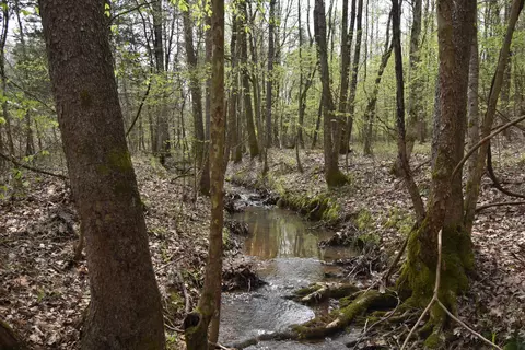 0 Culps Bend Rd, Clifton, TN 38425