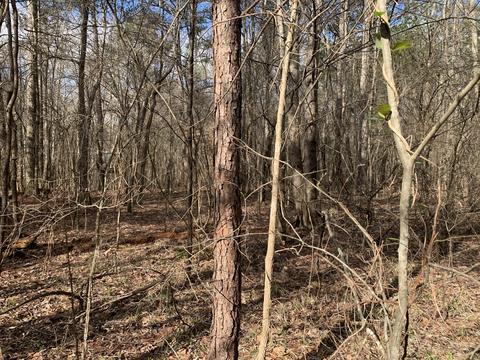0 Old Toone Rd, Medon, TN 38356