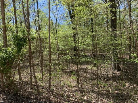 0 Eagles Nest Landing Ln, Bath Springs, TN 38311