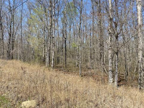 0 Adams Rd, Tracy City, TN 37387