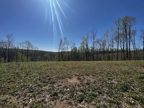 1276 Big Swan Creek Rd, Hampshire, TN 38461