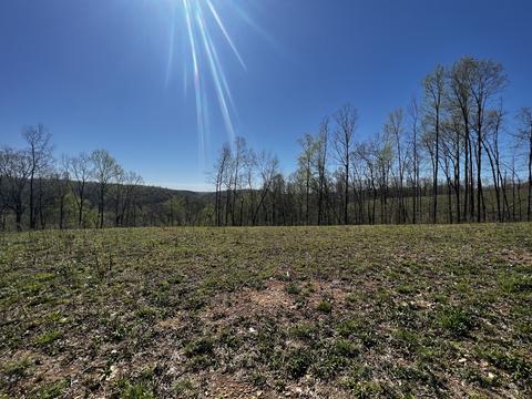 1276 Big Swan Creek Rd, Hampshire, TN 38461