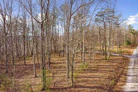 14 Eagles Bluff Cir, Spencer, TN 38585