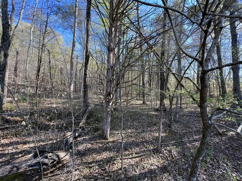 0 New Hope Rd, Gainesboro, TN 38562
