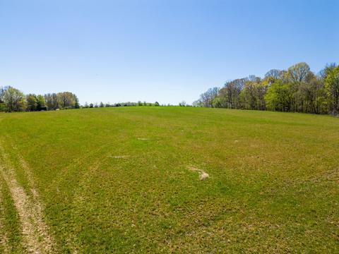 9139 Owens Chapel Rd, Springfield, TN 37172 photo 7