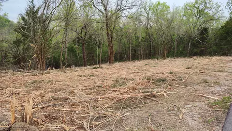 56 Harbor Ct, Silver Point, TN 38582
