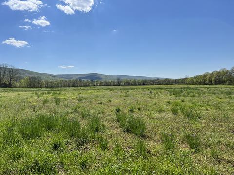 0 Roarks Cove Rd E, Decherd, TN 37324