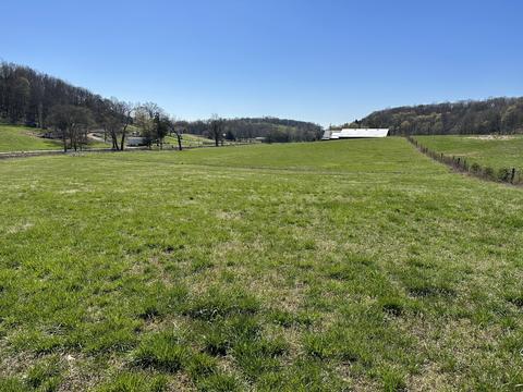 6 Brazier Ln, Gallatin, TN 37066