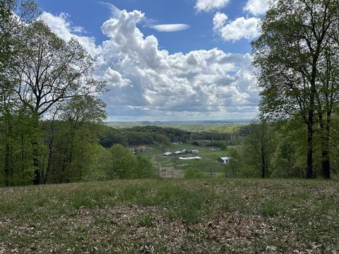 7 Brazier Ln, Gallatin, TN 37066