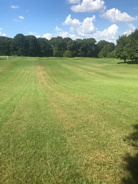 0 Tolleson Rd, Adams, TN 37010