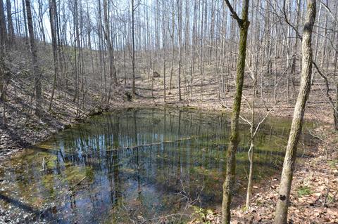 2 Pea Ridge Rd, Chestnut Mound, TN 38552