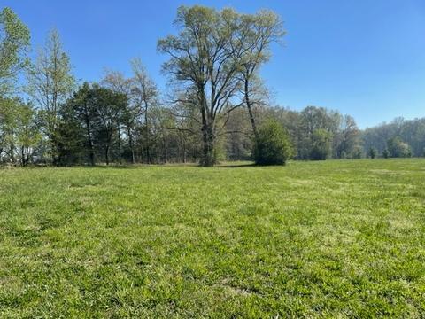 91 Sunny Acres Rd, Morrison, TN 37357 photo 24