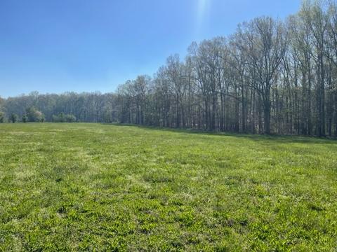 91 Sunny Acres Rd, Morrison, TN 37357 photo 23
