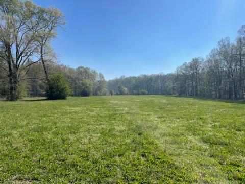 91 Sunny Acres Rd, Morrison, TN 37357 photo 22