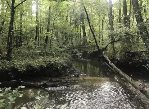 0 Duck Town Cir, Palmer, TN 37365
