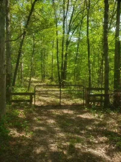 7390 Oak Springs Rd, Nunnelly, TN 37137