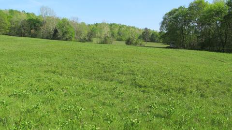 0 Milam Br SW, Centerville, TN 37033