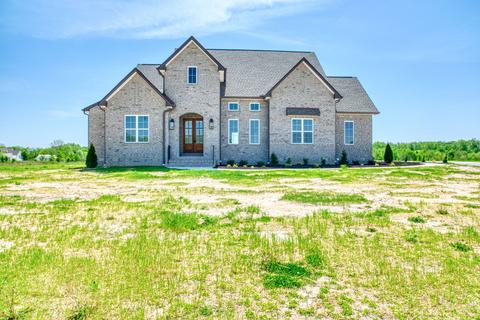 5871 Lakeview Rd, Springfield, TN 37172 photo 67