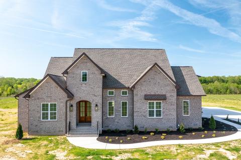 5871 Lakeview Rd, Springfield, TN 37172 photo 58
