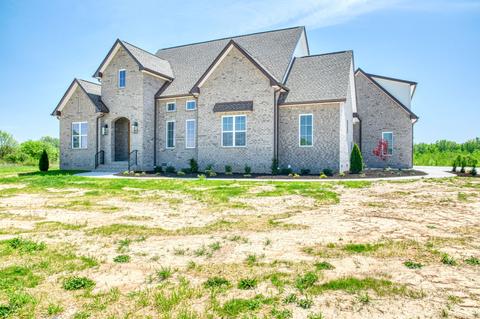5871 Lakeview Rd, Springfield, TN 37172 photo 69
