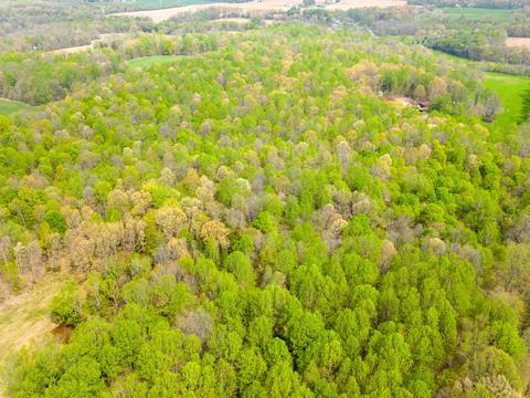 1046 Santee Ct, Springfield, TN 37172 photo 42