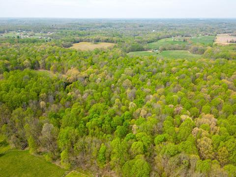 1046 Santee Ct, Springfield, TN 37172 photo 43