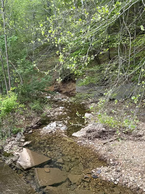 0 Smith Hollow Rd, Dickson, TN 37055 photo 6