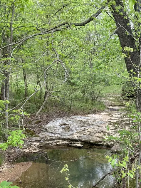 0 Smith Hollow Rd, Dickson, TN 37055 photo 2