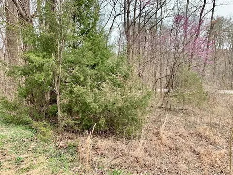 0 Spencer Dr #LOT 8, Spencer, TN 38585