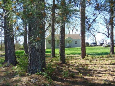 100 Savior Path, Ethridge, TN 38456 photo 3