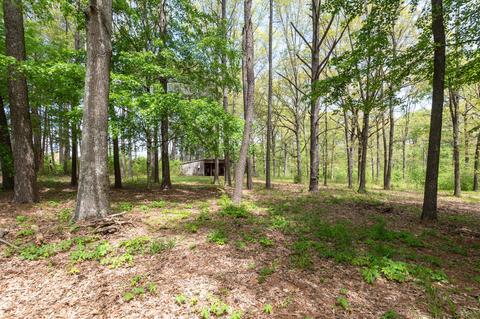 115 N Main St, Loretto, TN 38469 photo 41