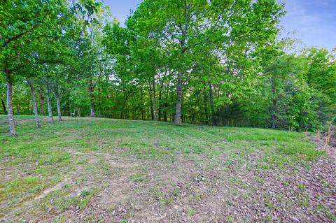 0 The Trce, Dover, TN 37058