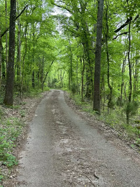 2102 Dowell Branch Rd, Columbia, TN 38401