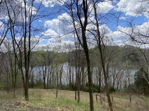 96 Blackberry Ridge Way, Smithville, TN 37166