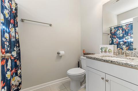 959 Carnation Dr, Spring Hill, TN 37174 photo 8