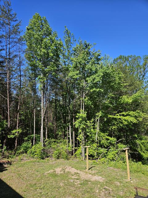 266 Joppa Rd, Walling, TN 38587 photo 15