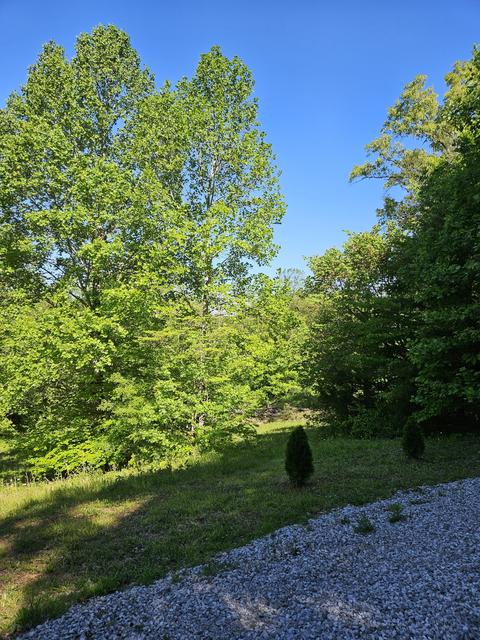 266 Joppa Rd, Walling, TN 38587 photo 23