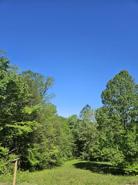 266 Joppa Rd, Walling, TN 38587 photo 14