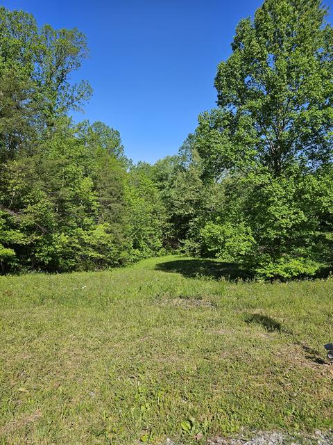 266 Joppa Rd, Walling, TN 38587 photo 18