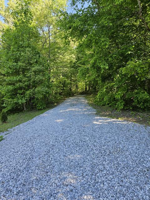 266 Joppa Rd, Walling, TN 38587 photo 22
