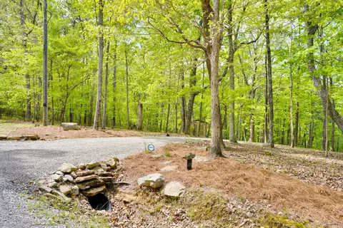 48 Everett Rd, Menlo, GA 30731 photo 78